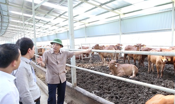 Bộ trưởng Nguyễn Xuân Cường thăm mô hình chăn nuôi tuần hoàn của Công ty T&T159. Ảnh: Minh Phúc.