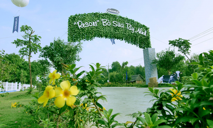 Không chỉ gây ấn tượng với quy mô lớn và sự hiện đại, trang trại của Vinamilk tại Tây Ninh còn được biết đến với không gian xanh mát, lý tưởng như ''resort''. Ảnh: Dũng Thanh.