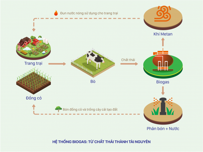 Công nghệ thu gom chất thải được Vinamilk áp dụng giúp vệ sinh chuồng trại luôn sạch, đảm bảo sức khỏe và sự thoải mái cho đàn bò sữa. Đồ hoạ: Dũng Thanh.