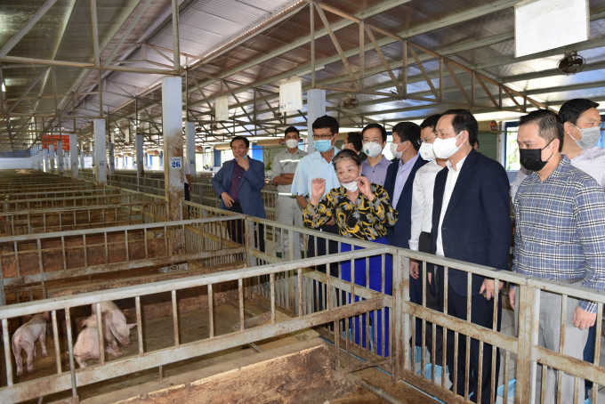 Bộ trưởng Bộ KHCN Huỳnh Thành Đạt thăm mô hình chăn nuôi sử dụng chế phẩm sinh học của Tập đoàn Quế Lâm. Ảnh: Hoàng Anh.