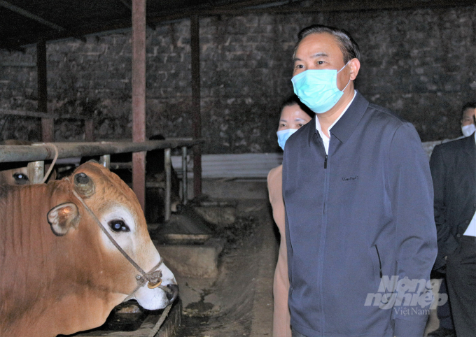Thứ trưởng Phùng Đức Tiến trong lần kiểm tra công tác phòng chống dịch bệnh gia súc tại Sơn La. Ảnh: Phạm Hiếu