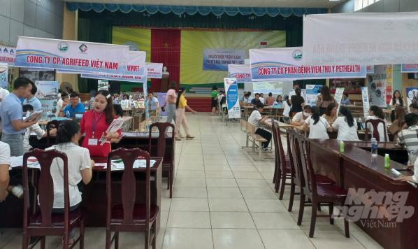 Hội chợ việc làm được Đại học Nông lâm Thái Nguyên tổ chức thường niên và mang lại việc làm cho hầu hết sinh viên tốt nghiệp. Ảnh: Đồng Văn Thưởng. 