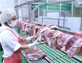 Giá heo hơi bật tăng, Cục Thú y khẳng định thịt nhập khẩu không phải nguyên nhân khiến giá heo hơi giảm